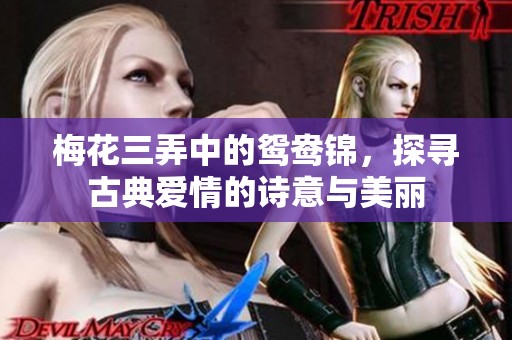 梅花三弄中的鸳鸯锦，探寻古典爱情的诗意与美丽