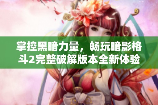 掌控黑暗力量，畅玩暗影格斗2完整破解版本全新体验
