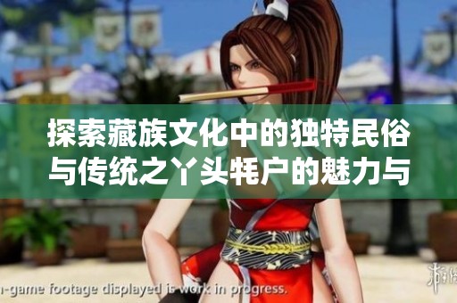 探索藏族文化中的独特民俗与传统之丫头牦户的魅力与故事