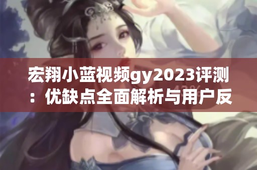 宏翔小蓝视频gy2023评测：优缺点全面解析与用户反馈汇总