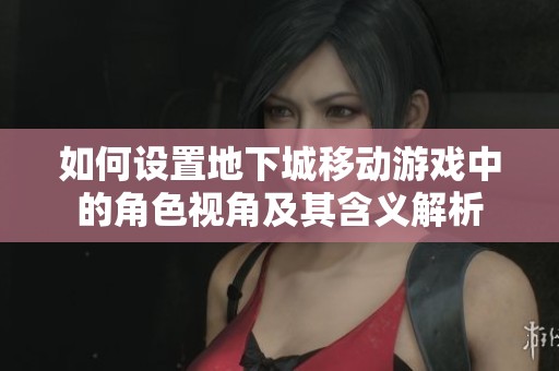 如何设置地下城移动游戏中的角色视角及其含义解析