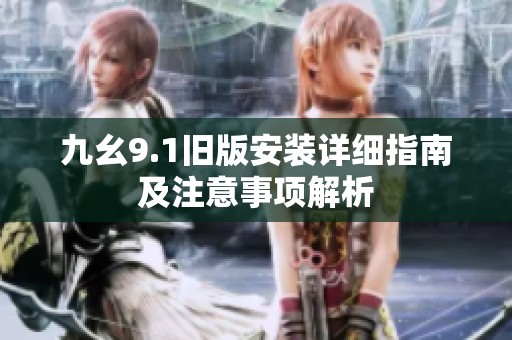 九幺9.1旧版安装详细指南及注意事项解析