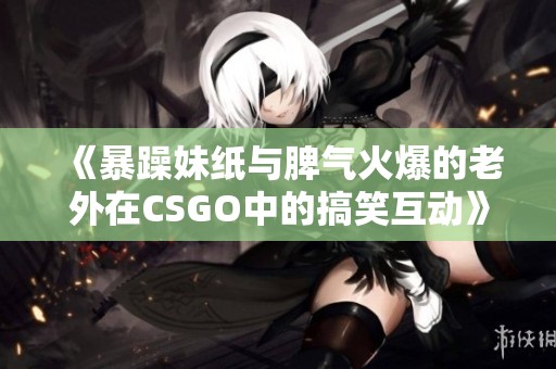 《暴躁妹纸与脾气火爆的老外在CSGO中的搞笑互动》