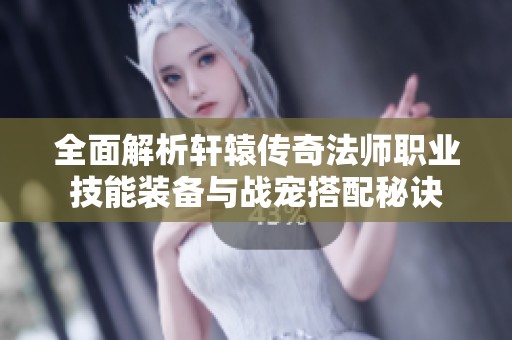全面解析轩辕传奇法师职业技能装备与战宠搭配秘诀