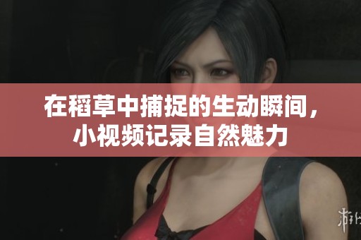 在稻草中捕捉的生动瞬间，小视频记录自然魅力
