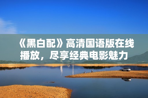《黑白配》高清国语版在线播放，尽享经典电影魅力