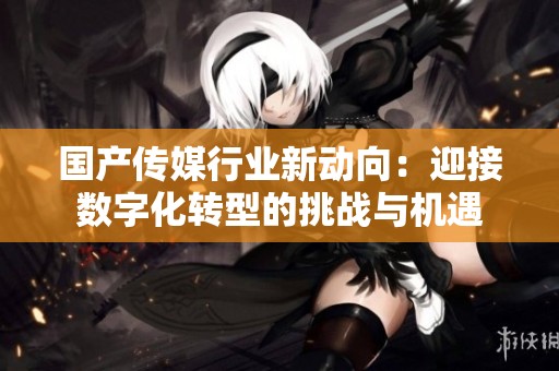 国产传媒行业新动向：迎接数字化转型的挑战与机遇