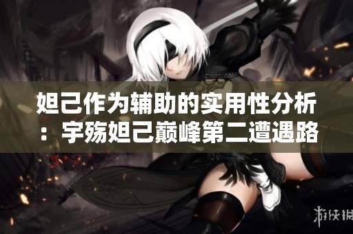 妲己作为辅助的实用性分析：宇殇妲己巅峰第二遭遇路人团战挑战