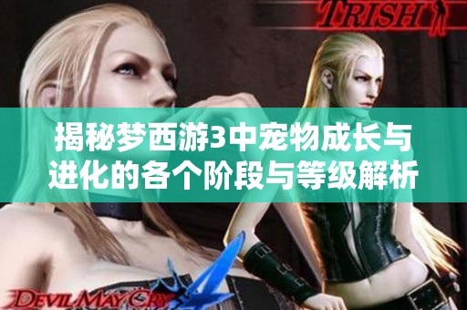 揭秘梦西游3中宠物成长与进化的各个阶段与等级解析