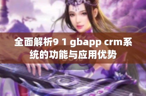 全面解析9 1 gbapp crm系统的功能与应用优势