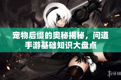 宠物后缀的奥秘揭秘，问道手游基础知识大盘点
