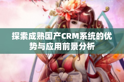 探索成熟国产CRM系统的优势与应用前景分析