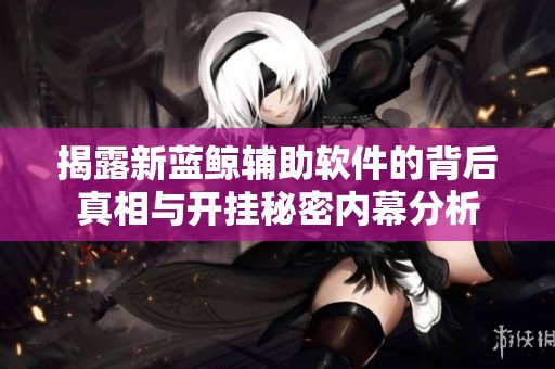 揭露新蓝鲸辅助软件的背后真相与开挂秘密内幕分析