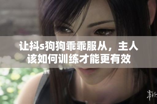 让抖s狗狗乖乖服从，主人该如何训练才能更有效