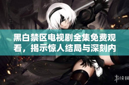 黑白禁区电视剧全集免费观看，揭示惊人结局与深刻内涵