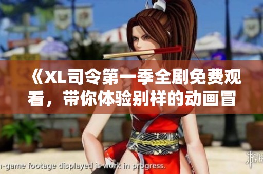 《XL司令第一季全剧免费观看，带你体验别样的动画冒险之旅》
