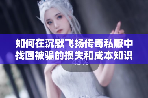 如何在沉默飞扬传奇私服中找回被骗的损失和成本知识分享