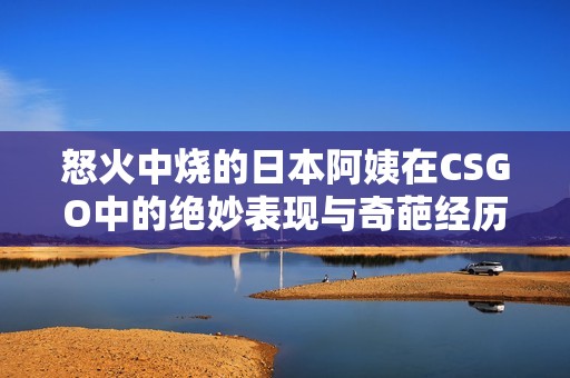 怒火中烧的日本阿姨在CSGO中的绝妙表现与奇葩经历