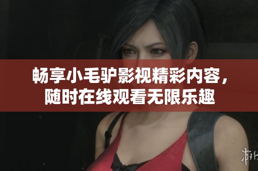 畅享小毛驴影视精彩内容，随时在线观看无限乐趣