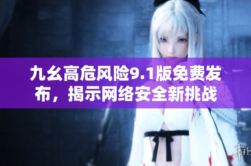 九幺高危风险9.1版免费发布，揭示网络安全新挑战
