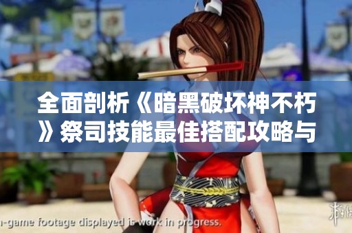 全面剖析《暗黑破坏神不朽》祭司技能最佳搭配攻略与技巧