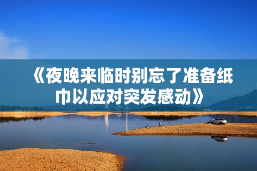 《夜晚来临时别忘了准备纸巾以应对突发感动》