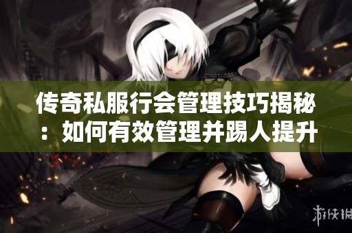 传奇私服行会管理技巧揭秘：如何有效管理并踢人提升团队效率