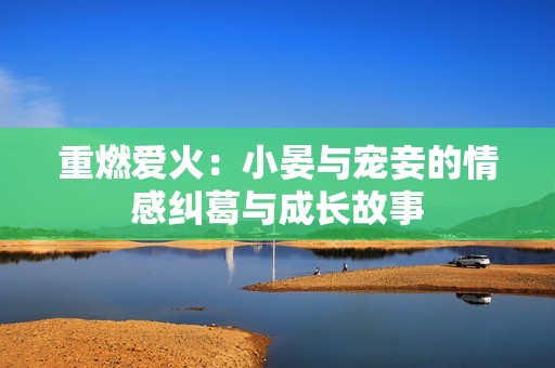 重燃爱火：小晏与宠妾的情感纠葛与成长故事
