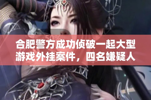 合肥警方成功侦破一起大型游戏外挂案件，四名嫌疑人被抓获