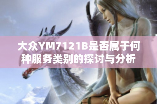 大众YM7121B是否属于何种服务类别的探讨与分析