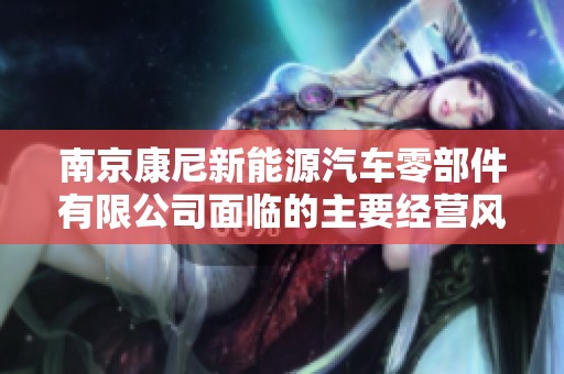 南京康尼新能源汽车零部件有限公司面临的主要经营风险分析与探讨