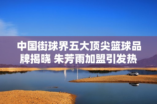 中国街球界五大顶尖篮球品牌揭晓 朱芳雨加盟引发热议