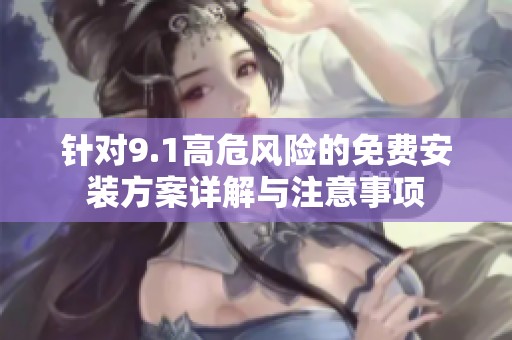针对9.1高危风险的免费安装方案详解与注意事项