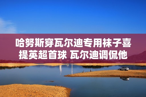 哈努斯穿瓦尔迪专用袜子喜提英超首球 瓦尔迪调侃他需持之以恒