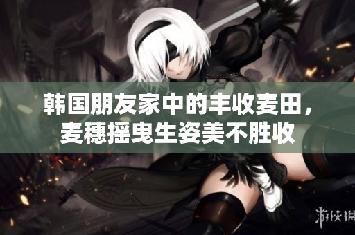韩国朋友家中的丰收麦田，麦穗摇曳生姿美不胜收