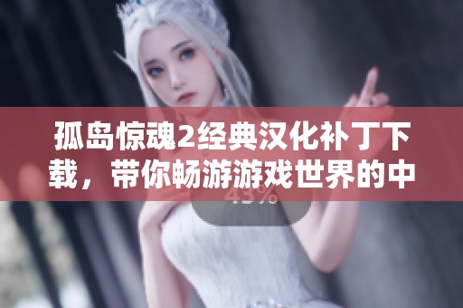 孤岛惊魂2经典汉化补丁下载，带你畅游游戏世界的中文魅力