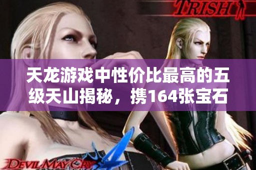 天龙游戏中性价比最高的五级天山揭秘，携164张宝石兑换券与4238个金币