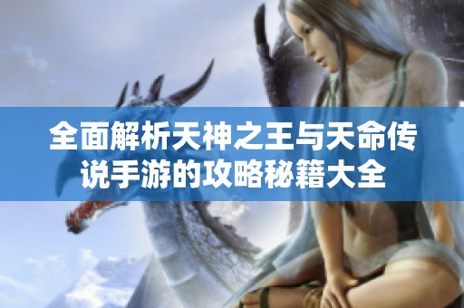 全面解析天神之王与天命传说手游的攻略秘籍大全