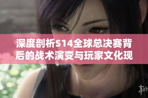 深度剖析S14全球总决赛背后的战术演变与玩家文化现象