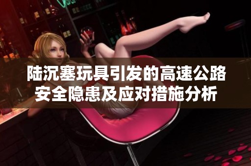 陆沉塞玩具引发的高速公路安全隐患及应对措施分析
