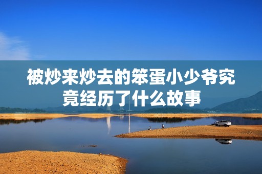 被炒来炒去的笨蛋小少爷究竟经历了什么故事