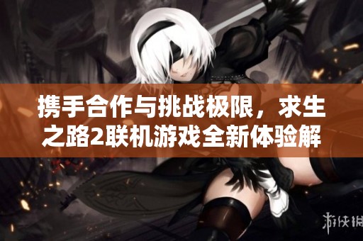 携手合作与挑战极限，求生之路2联机游戏全新体验解析