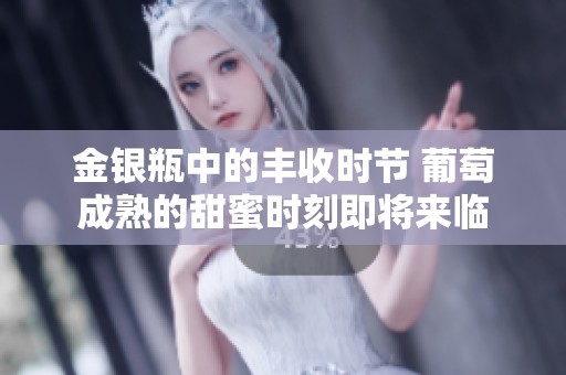 金银瓶中的丰收时节 葡萄成熟的甜蜜时刻即将来临