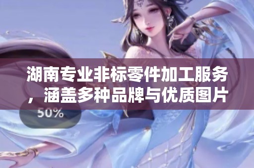 湖南专业非标零件加工服务，涵盖多种品牌与优质图片展示