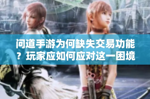 问道手游为何缺失交易功能？玩家应如何应对这一困境