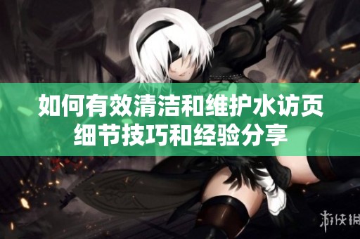 如何有效清洁和维护水访页细节技巧和经验分享