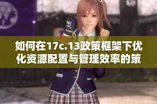 如何在17c.13政策框架下优化资源配置与管理效率的策略探讨