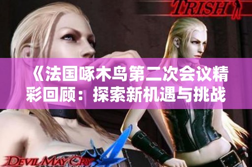 《法国啄木鸟第二次会议精彩回顾：探索新机遇与挑战》