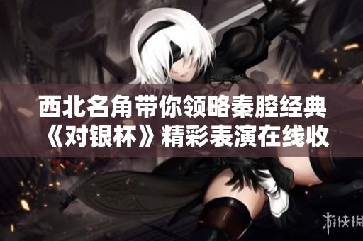 西北名角带你领略秦腔经典《对银杯》精彩表演在线收听