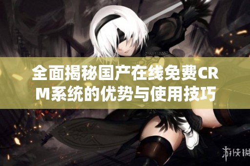 全面揭秘国产在线免费CRM系统的优势与使用技巧